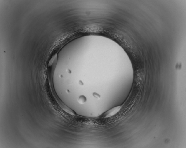 X0000097910544200804041503