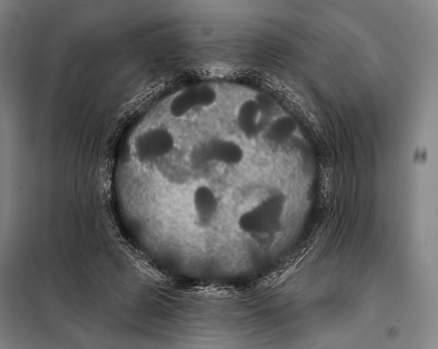 X0000097910545200804041503