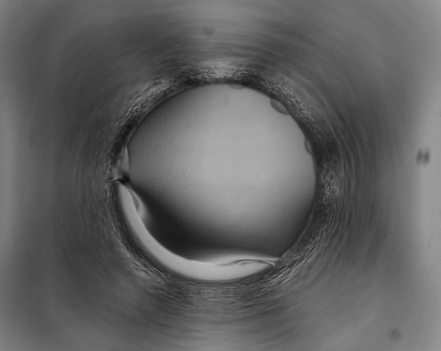 X0000097910546200804041503