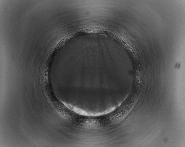 X0000097910547200804041503