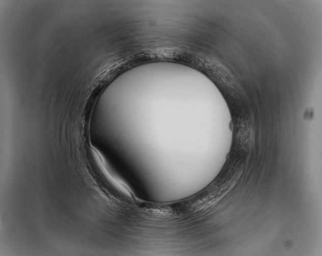 X0000097910548200804041503