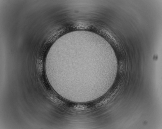 X0000097910549200804041504