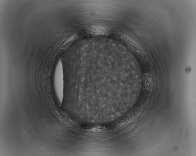 X0000097910550200804041504