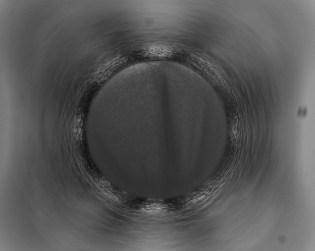 X0000097910551200804041504