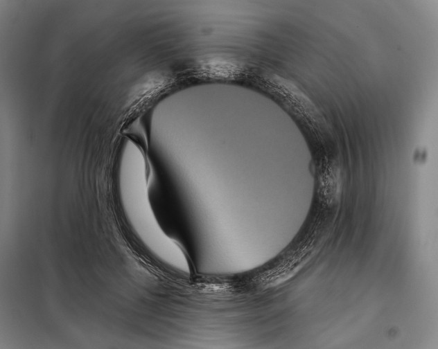 X0000097910552200804041504