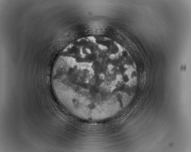 X0000097910553200804041504