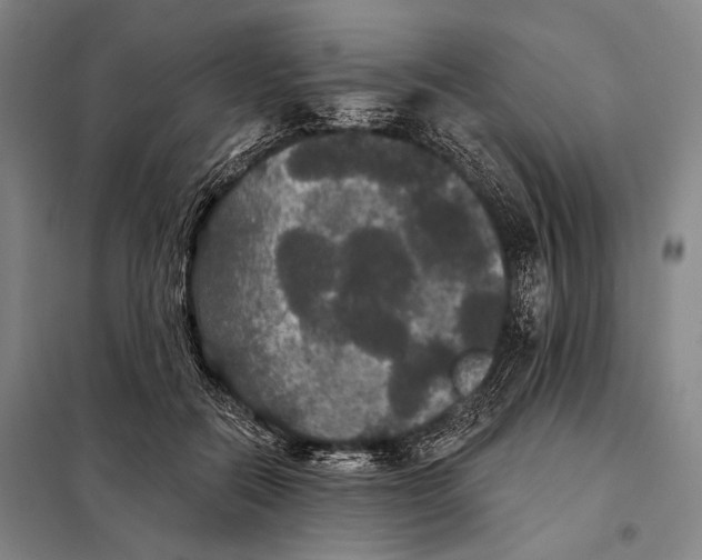 X0000097910554200804041504