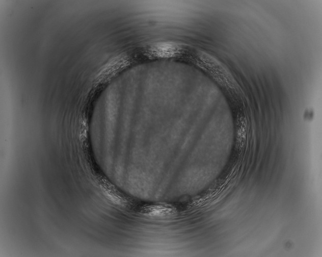 X0000097910555200804041504