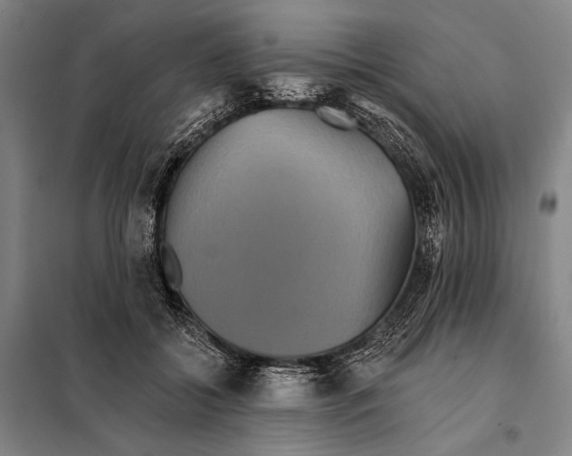 X0000097910556200804041504