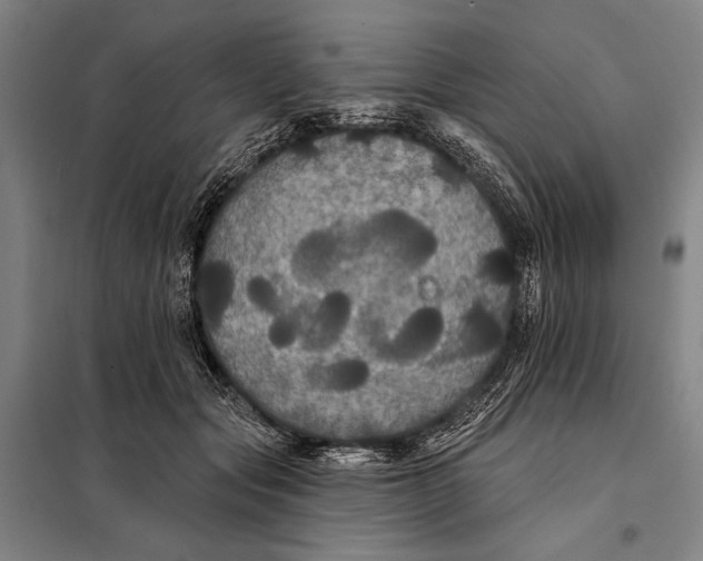 X0000097910557200804041504