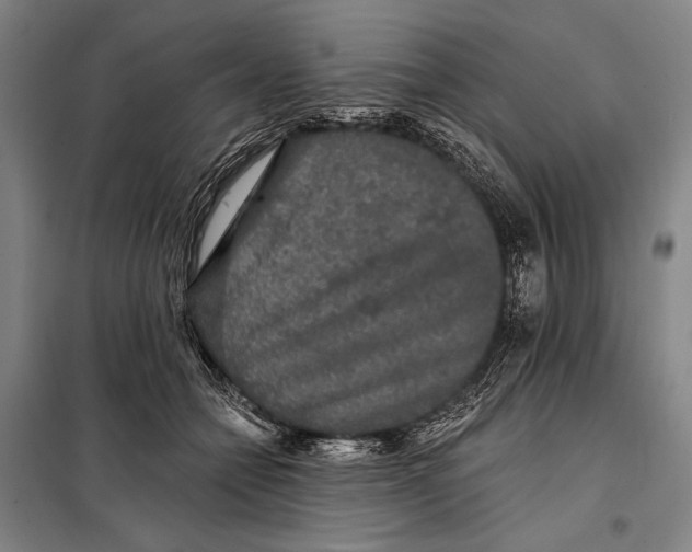 X0000097910558200804041504