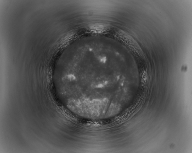 X0000097910559200804041504