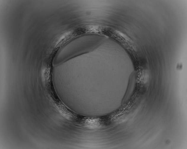 X0000097910560200804041504