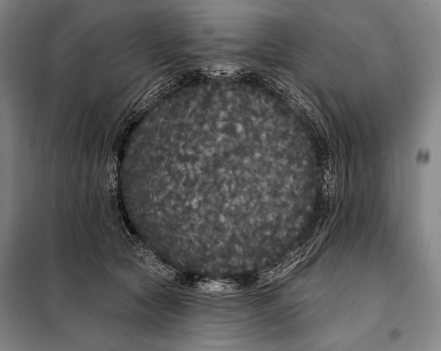 X0000097910561200804041504