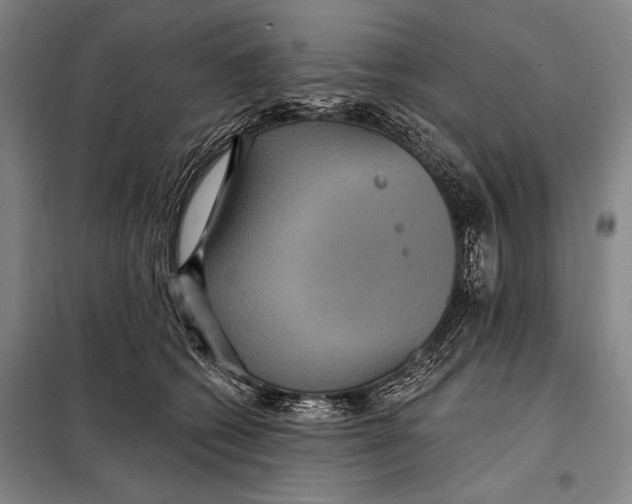 X0000097910562200804041504