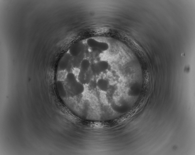 X0000097910565200804041504