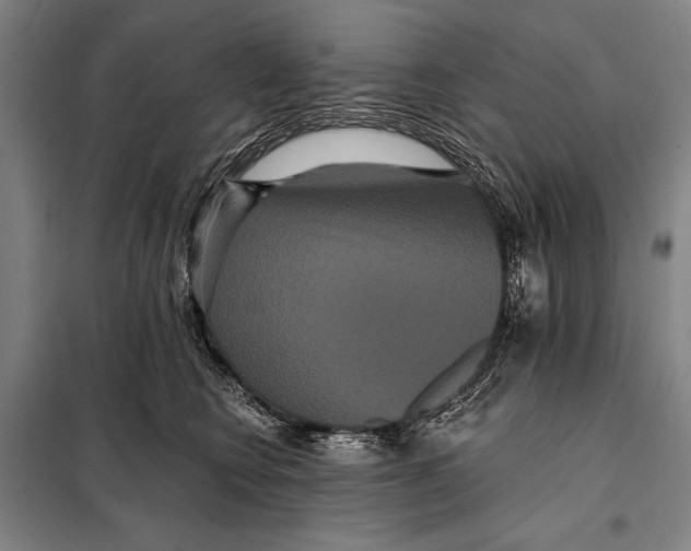 X0000097910566200804041504