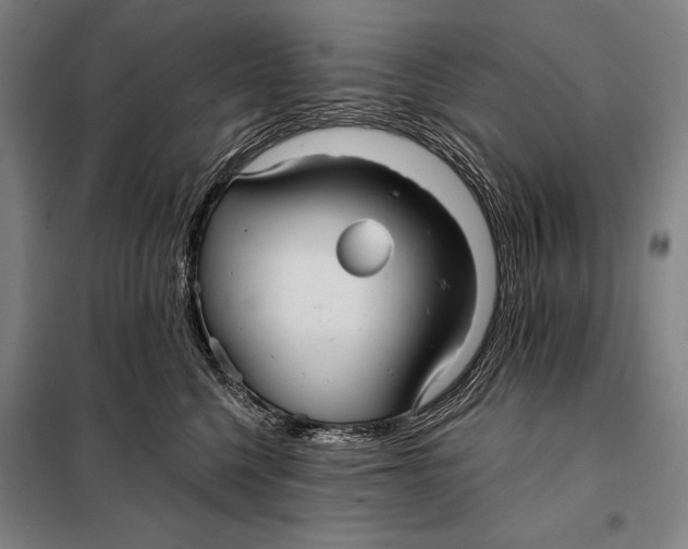 X0000097910568200804041504