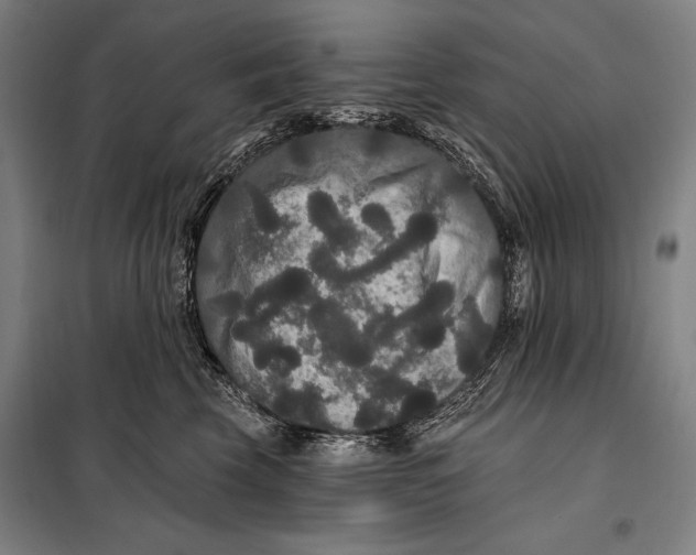 X0000097910569200804041504