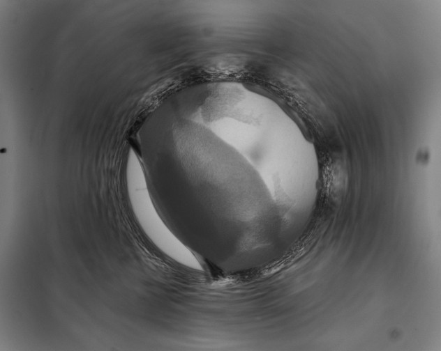 X0000097910570200804041504