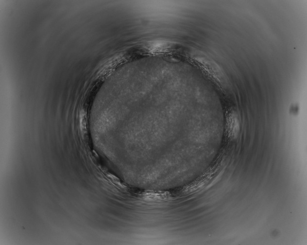 X0000097910571200804041504