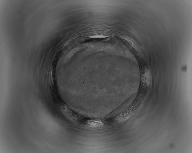 X0000097910572200804041504