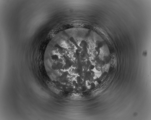 X0000097910573200804041504