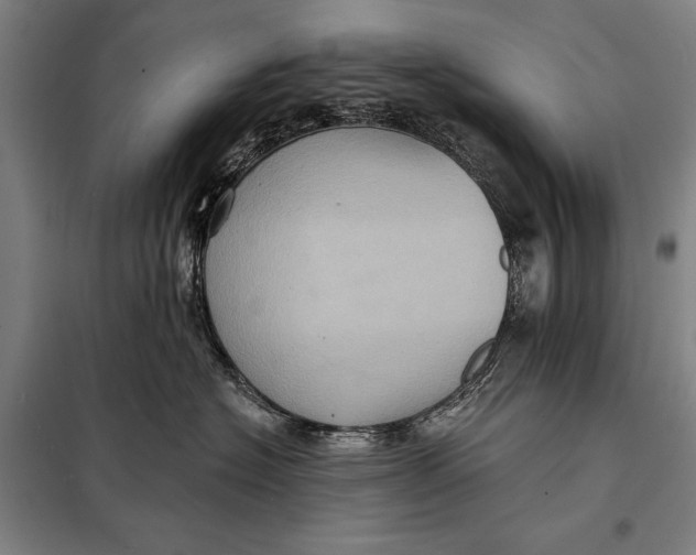 X0000097910574200804041504