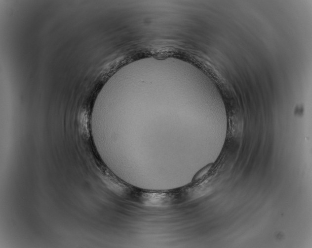 X0000097910575200804041504