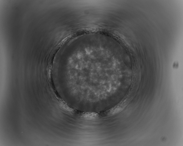 X0000097910576200804041504