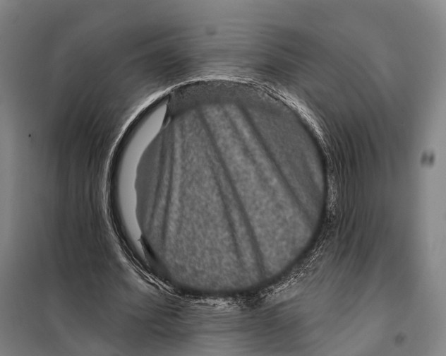 X0000097910580200804041503