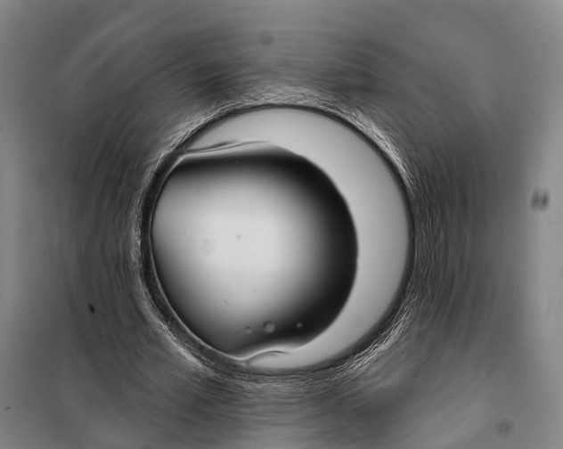 X0000097910581200804041503