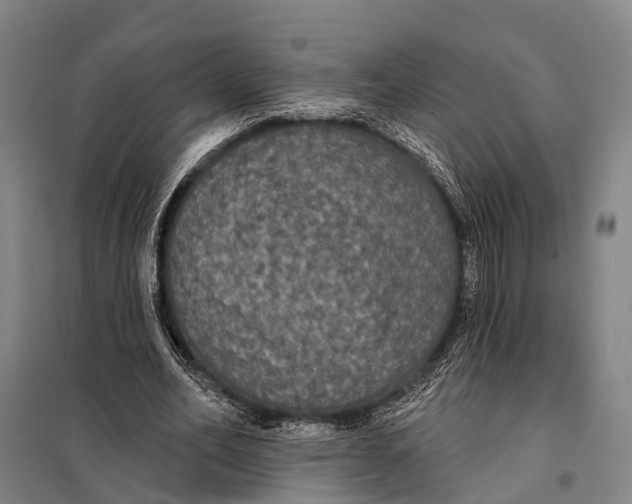 X0000097910582200804041503