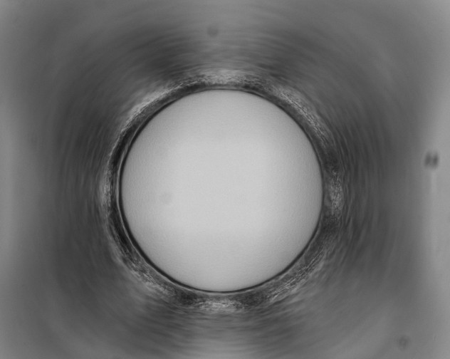 X0000097910583200804041503