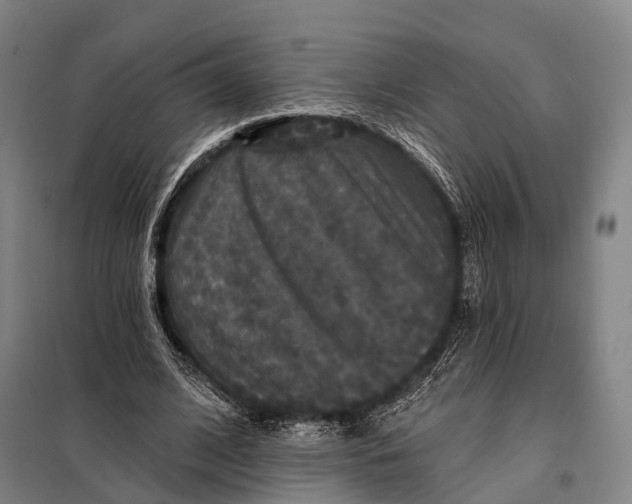 X0000097910584200804041503