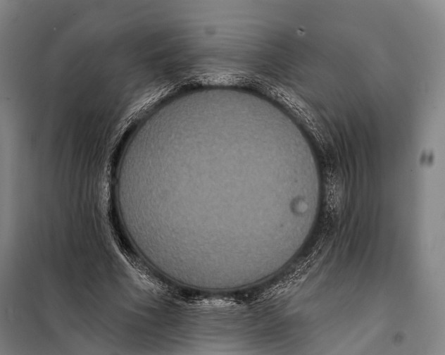 X0000097910586200804041503