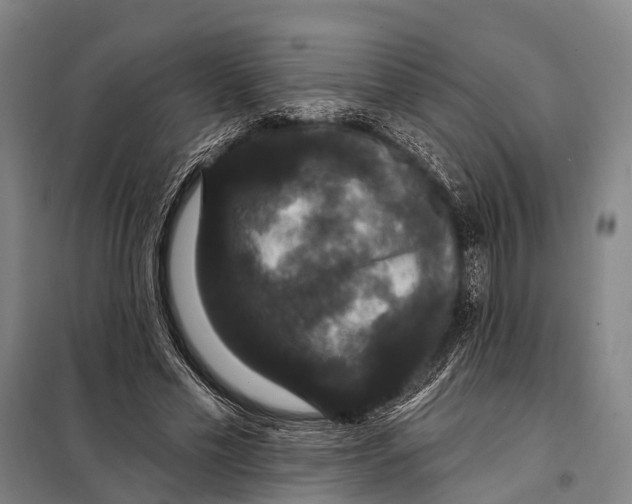 X0000097910589200804041503