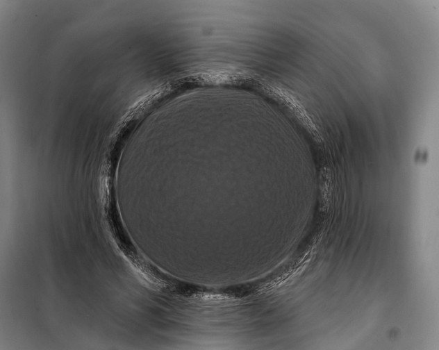 X0000097910590200804041503