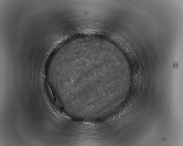 X0000097910592200804041503