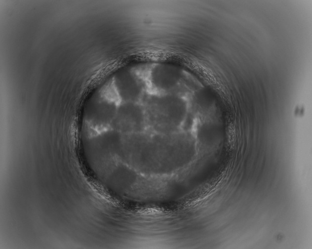 X0000097910594200804041503