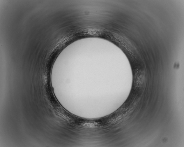 X0000097910595200804041503