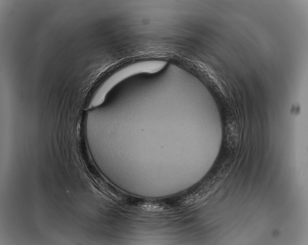 X0000097910596200804041503