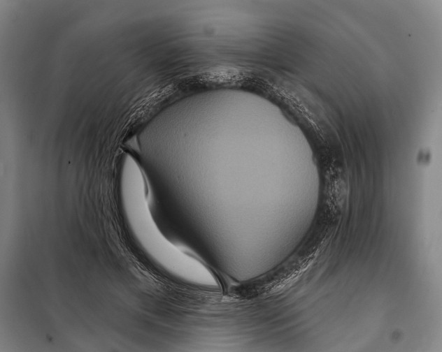 X0000097910597200804041503