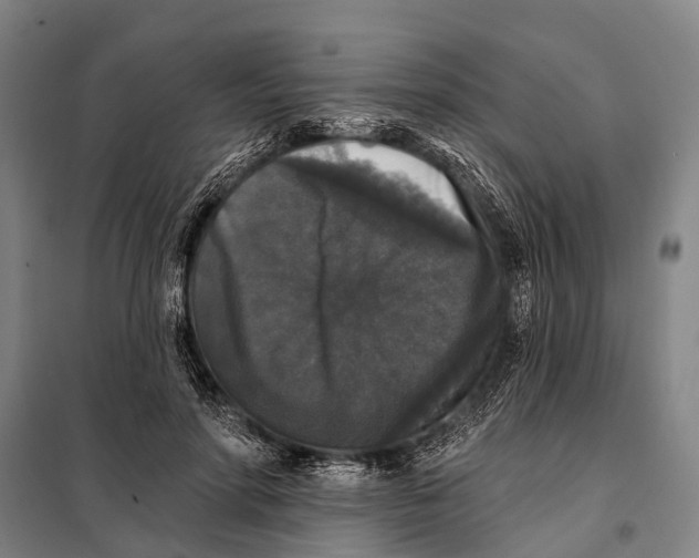 X0000097910598200804041503