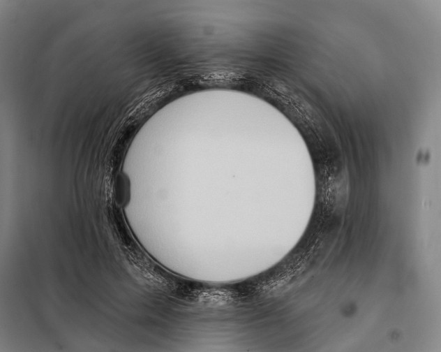 X0000097910599200804041503