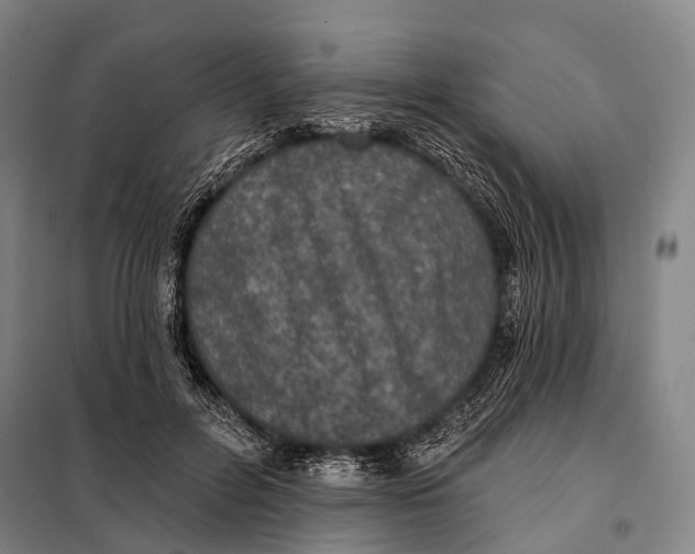 X0000097910600200804041503