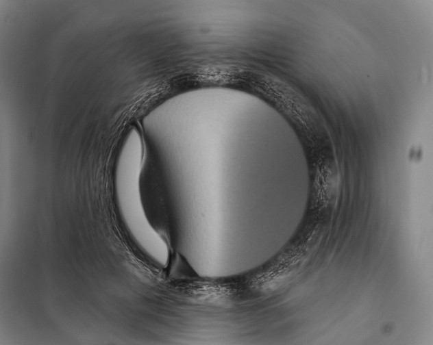 X0000097910601200804041503