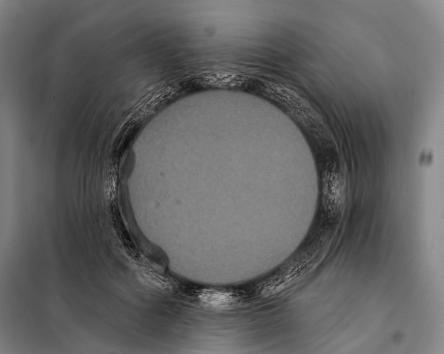 X0000097910602200804041503