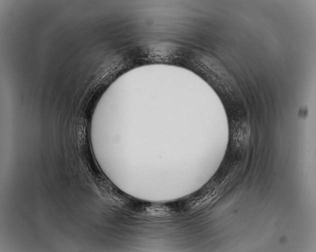 X0000097910603200804041503