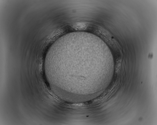 X0000097910604200804041503